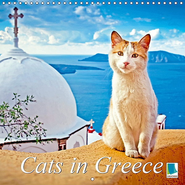 Cats in Greece (Wall Calendar 2019 300 × 300 mm Square), CALVENDO