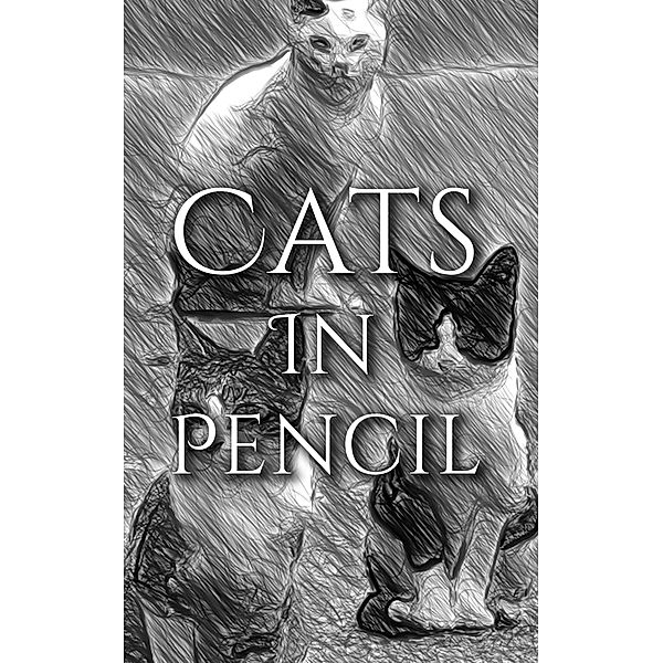 Cats In Pencil, Deanna Michaels