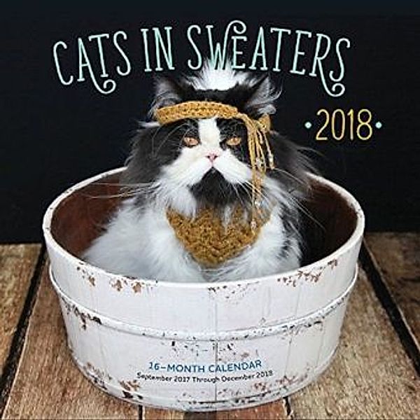 Cats in Sweaters Mini 2018, Editors of Rock Point