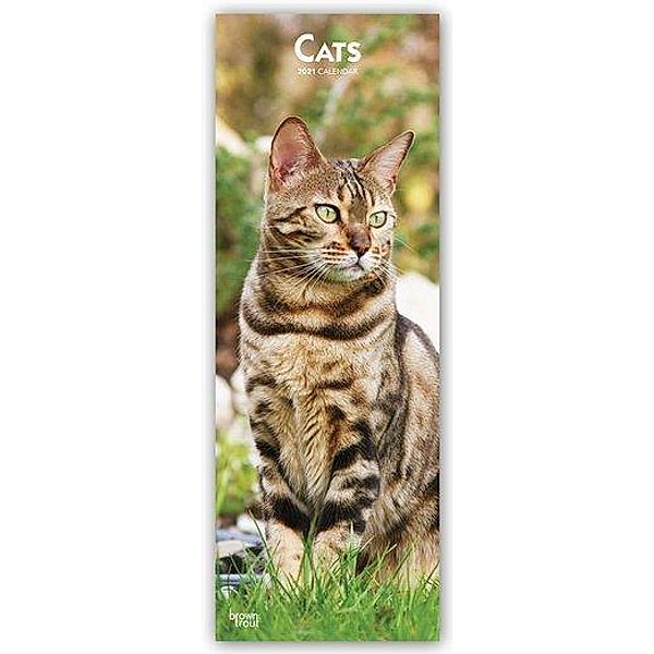 Cats - Katzen 2021, BrownTrout Publishers