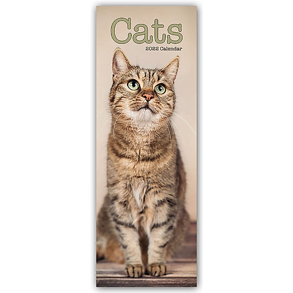 Cats - Katzen 2022, Avonside Publishing Ltd