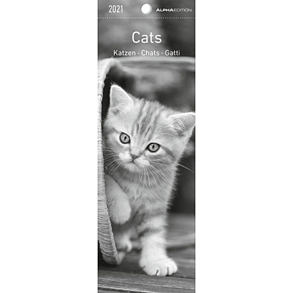 Cats, Lesezeichenkalender 2021