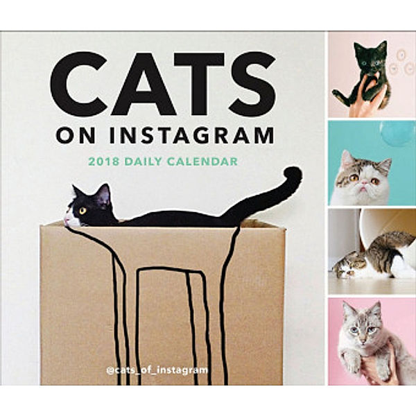 Cats on Instagram 2018