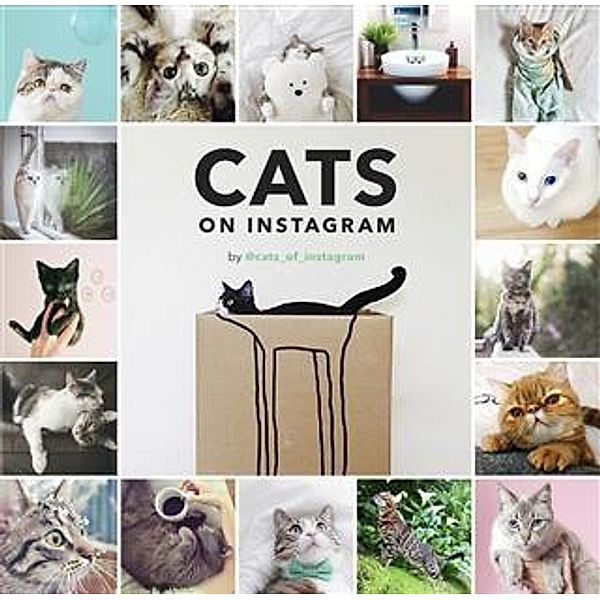 Cats on Instagram, @cats_of_instagram