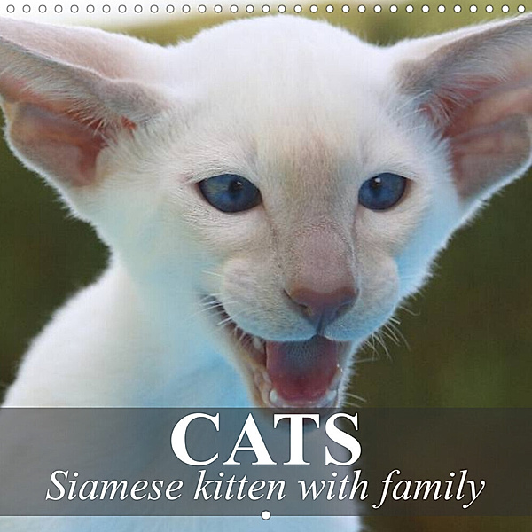 Cats - Siamese kitten with family (Wall Calendar 2023 300 × 300 mm Square), Elisabeth Stanzer