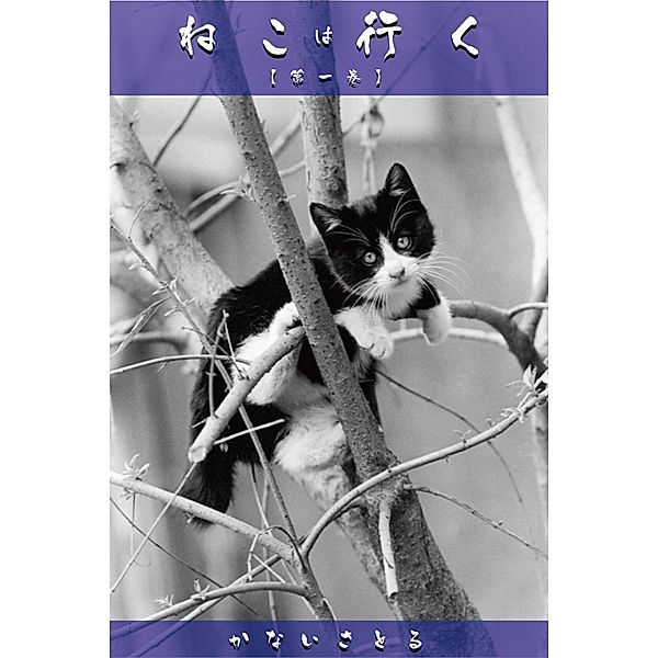 Cat's Walk [Volume 1], Satoru Kanai