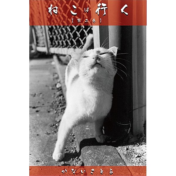 Cat's Walk [Volume 2], Satoru Kanai