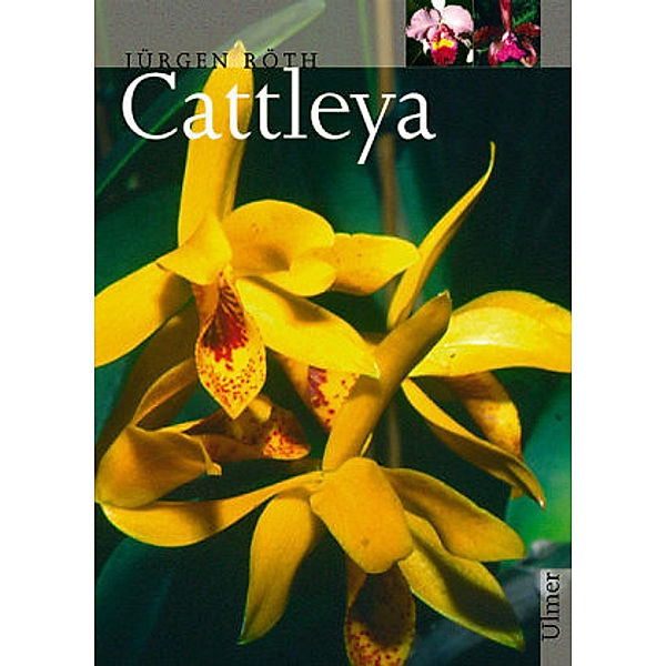 Cattleya, Jürgen Röth