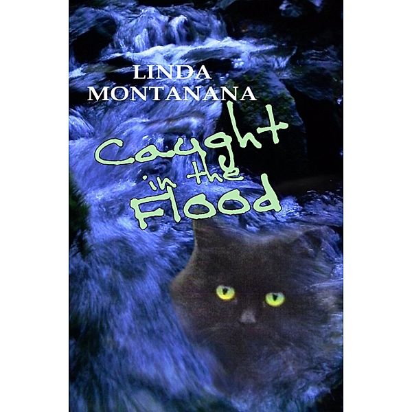 Caught in the flood, Linda Montanana