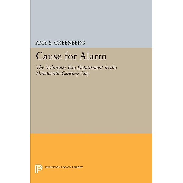 Cause for Alarm / Princeton Legacy Library Bd.406, Amy S. Greenberg