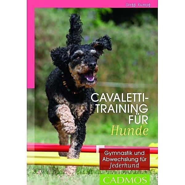 Cavalettitraining für Hunde, Steffi Rumpf