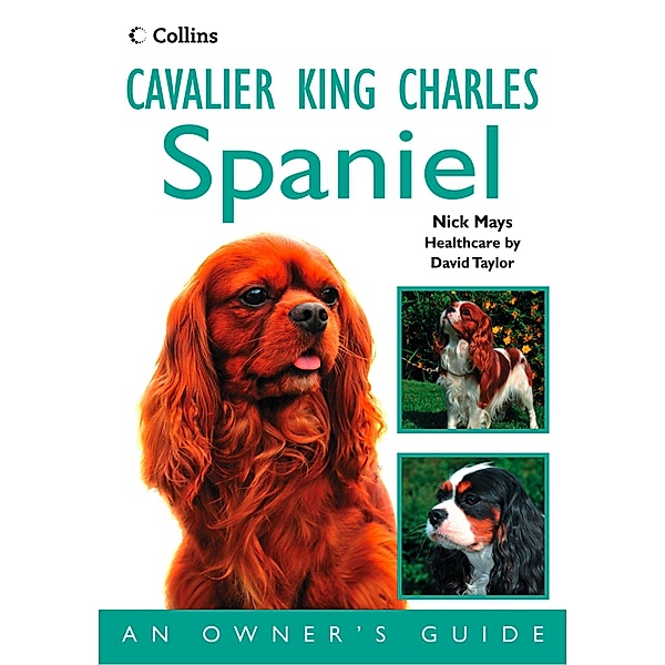 Cavalier King Charles Spaniel, Nick Mays
