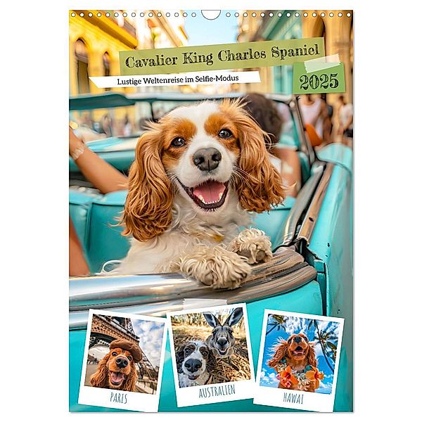 Cavalier King Charles Spaniel - Lustige Weltenreise im Selfie-Modus (Wandkalender 2025 DIN A3 hoch), CALVENDO Monatskalender, Calvendo, Anja Frost