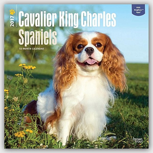 Cavalier King Charles Spaniels 2017, Inc Browntrout Publishers