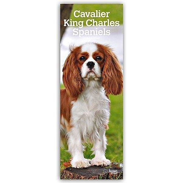 Cavalier King Charles Spaniels 2019, BrownTrout Publisher