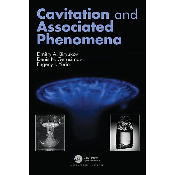 Cavitation and Associated Phenomena, Dmitry Biryukov, Denis Gerasimov, Eugeny Yurin