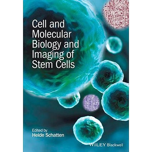 Cell and Molecular Biology and Imaging of Stem Cells