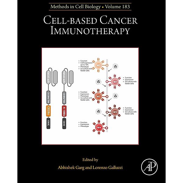 Cell-based Cancer Immunotherapy
