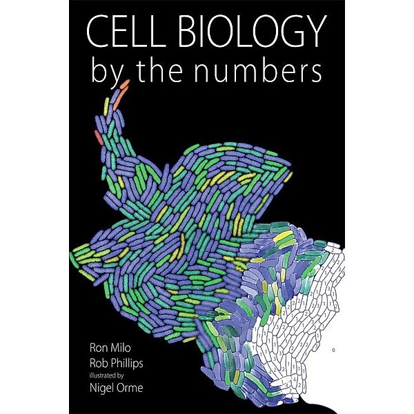 Cell Biology by the Numbers, Ron Milo, Rob Phillips