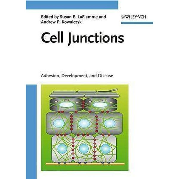 Cell Junctions