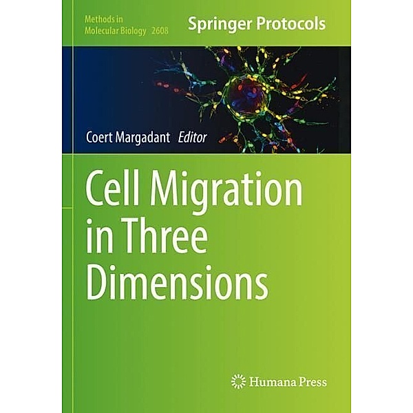 Cell Migration in Three Dimensions