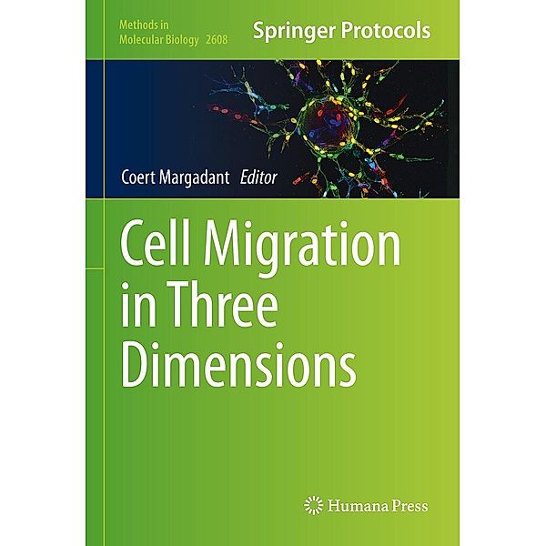 Cell Migration in Three Dimensions / Methods in Molecular Biology Bd.2608