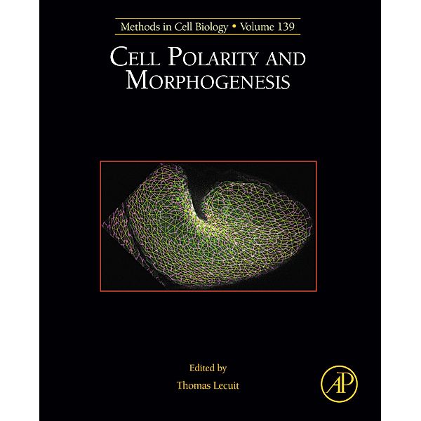 Cell Polarity and Morphogenesis