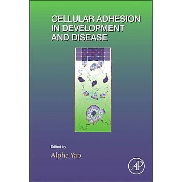 Cellular Adhesion in Development and Disease