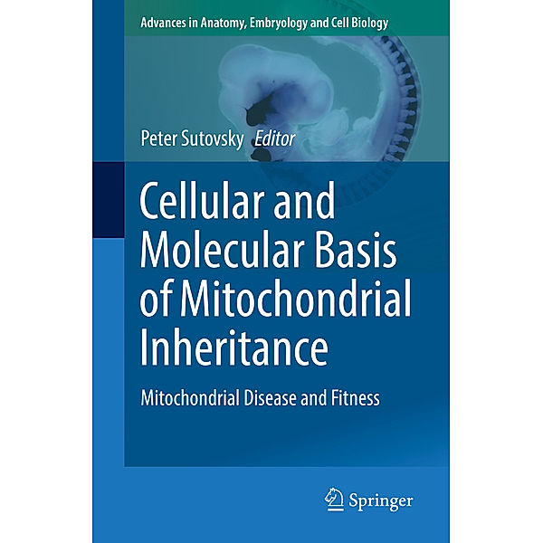 Cellular and Molecular Basis of Mitochondrial Inheritance