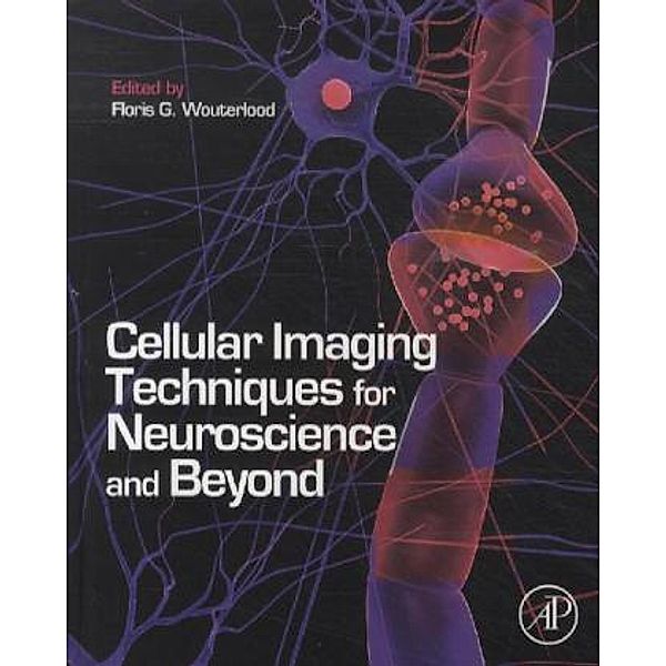 Cellular Imaging Techniques for Neuroscience and Beyond