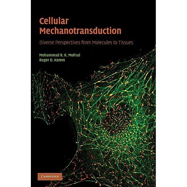 Cellular Mechanotransduction