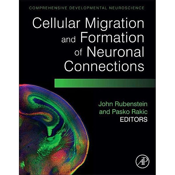 Cellular Migration and Formation of Neuronal Connections