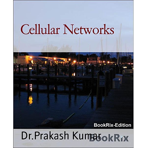 Cellular Networks, Prakash Kumar