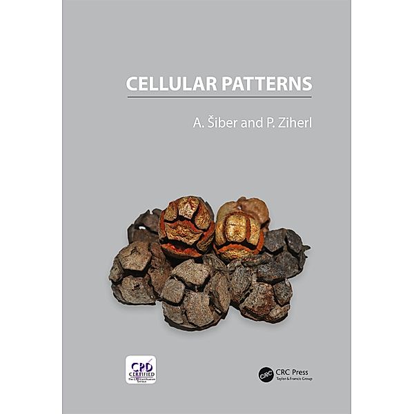 Cellular Patterns, Antonio Siber, Primoz Ziherl
