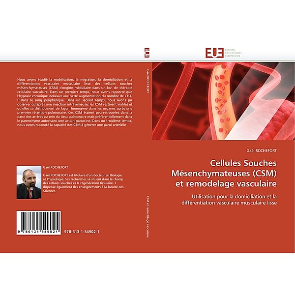 Cellules Souches Mésenchymateuses (CSM) et remodelage vasculaire, Gaël ROCHEFORT