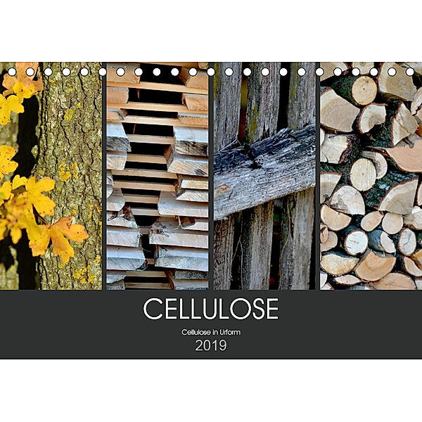 Cellulose, Cellulose in Urform (Tischkalender 2019 DIN A5 quer)