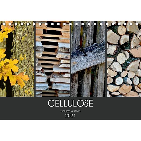 Cellulose, Cellulose in Urform (Tischkalender 2021 DIN A5 quer), Fotokullt
