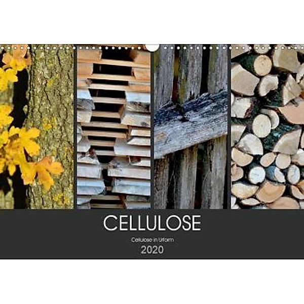 Cellulose, Cellulose in Urform (Wandkalender 2020 DIN A3 quer)