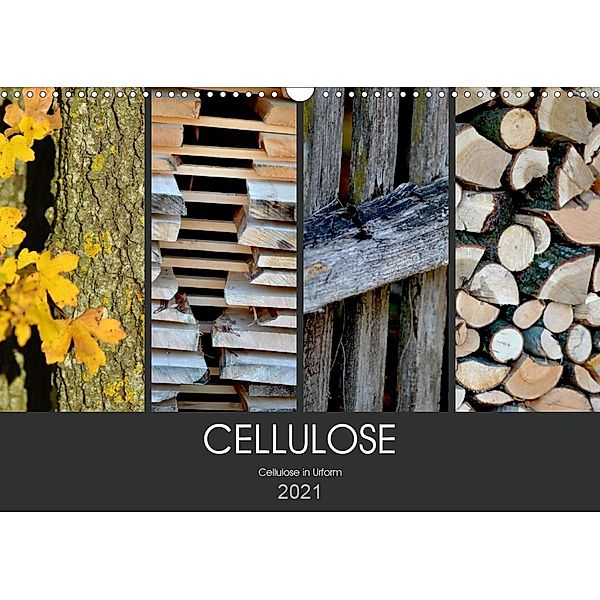 Cellulose, Cellulose in Urform (Wandkalender 2021 DIN A3 quer), Fotokullt