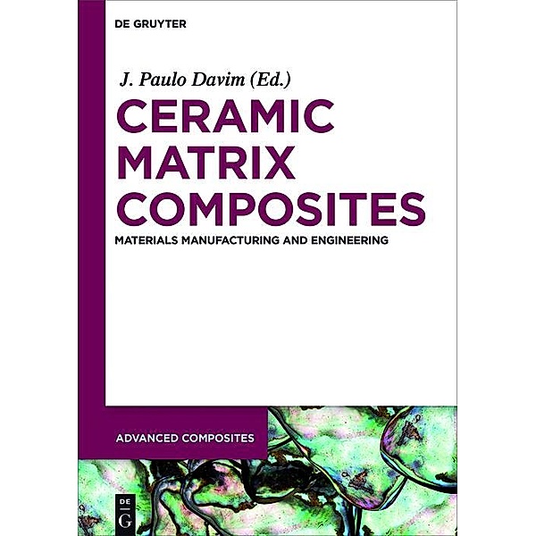Ceramic Matrix Composites / Advanced Composites Bd.5