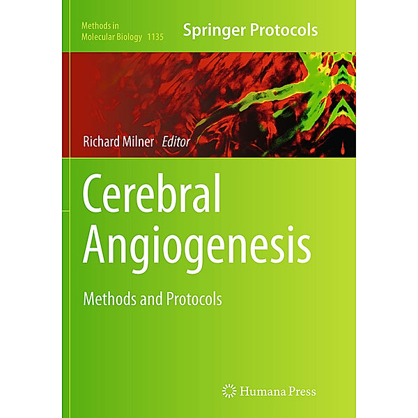 Cerebral Angiogenesis