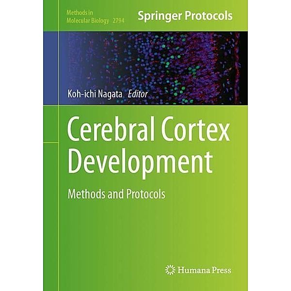 Cerebral Cortex Development