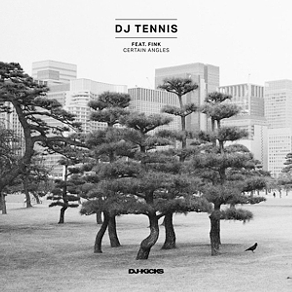 Certain Angles, DJ Tennis feat. Fink