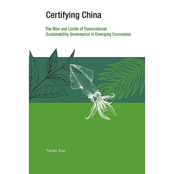 Certifying China / Earth System Governance, Yixian Sun