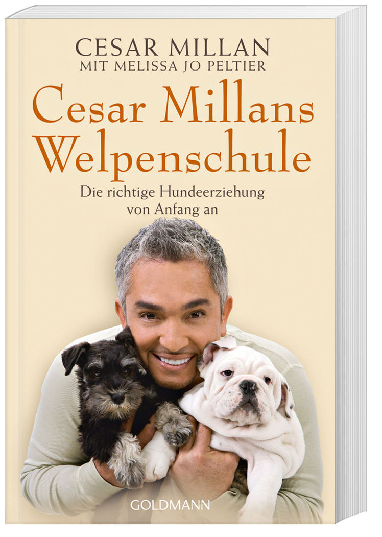 Cesar Millans Welpenschule Buch bei Weltbild.ch online bestellen