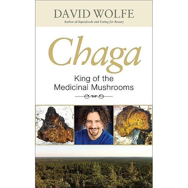 Chaga / North Atlantic Books, David Wolfe