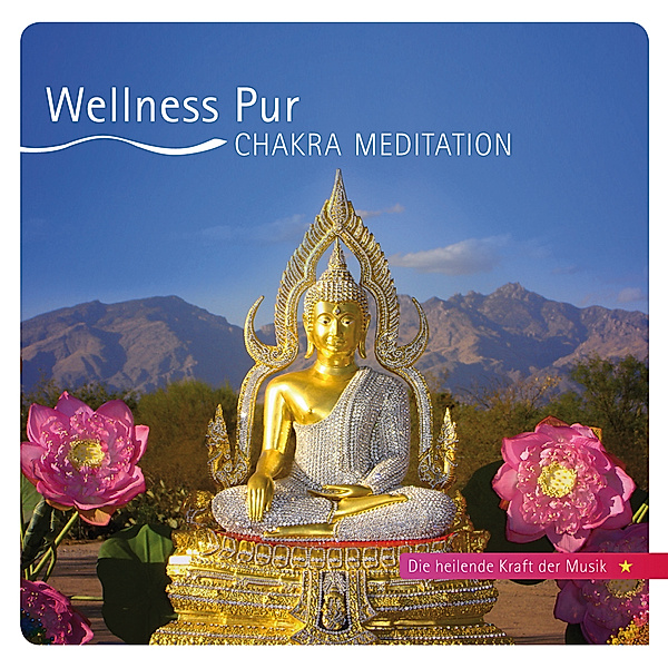 Chakra Meditation, Wellness Pur