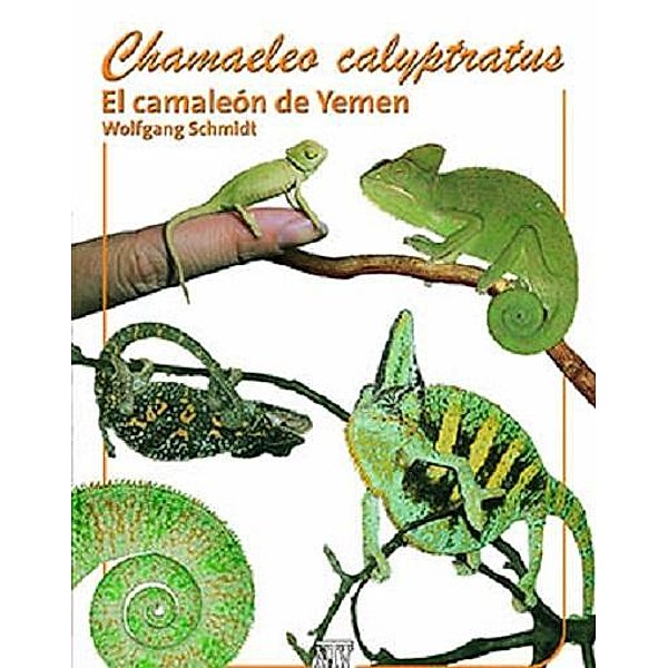 Chamaeleo calyptratus, Wolfgang Schmidt