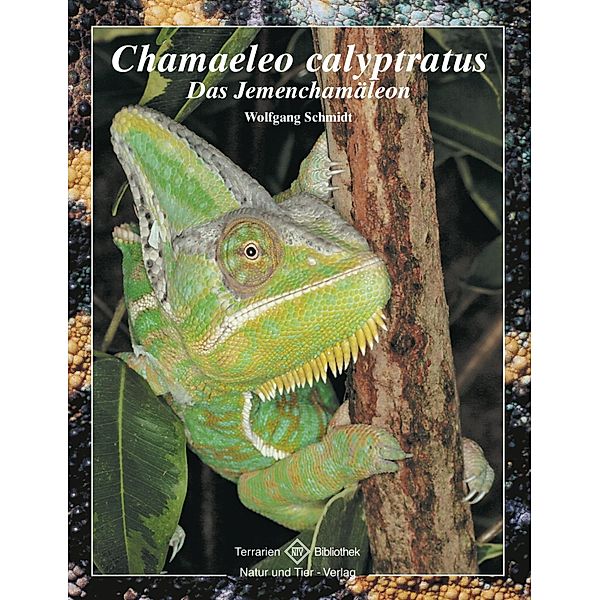 Chamaeleo calyptratus / Terrarien-Bibliothek, Wolfgang Schmidt