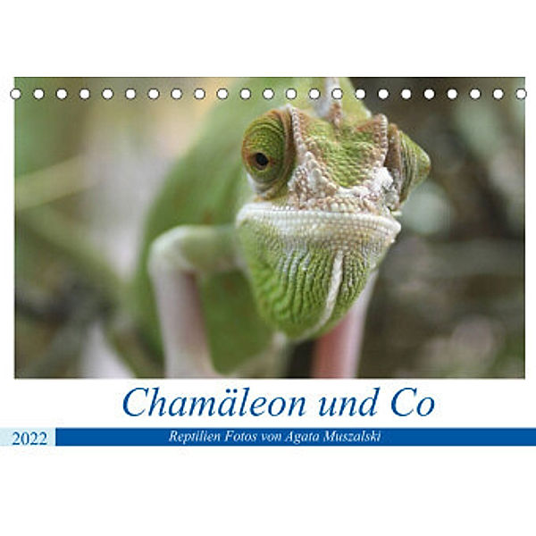 Chamäleon und Co (Tischkalender 2022 DIN A5 quer), Agata Muszalski